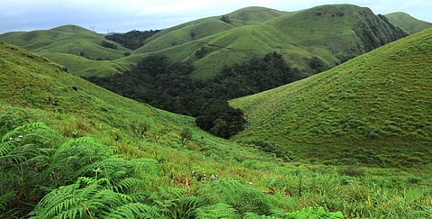munnar