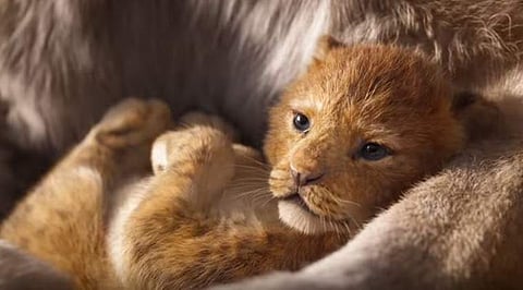 Watch: Disney releases teaser trailer for live-action remake of 1994's The Lion King
