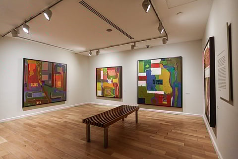 Vivan Sundaram at KNMA