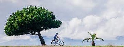 Celebrate Green at American Centre, Kolkata