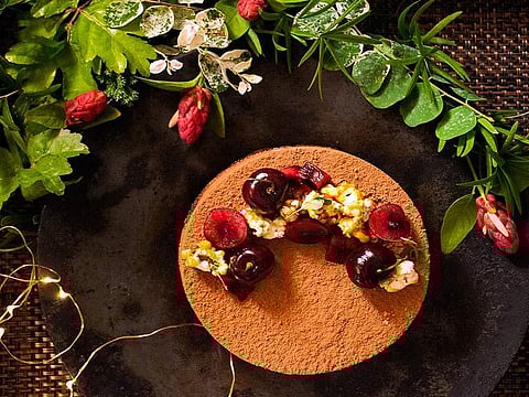 Cherry chocolate cake