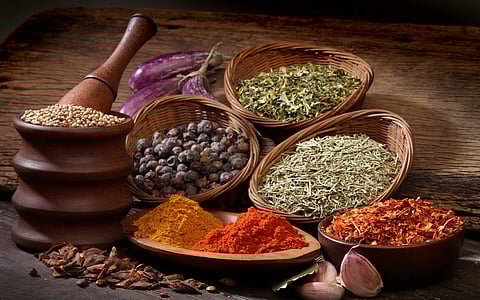 South indian food festival