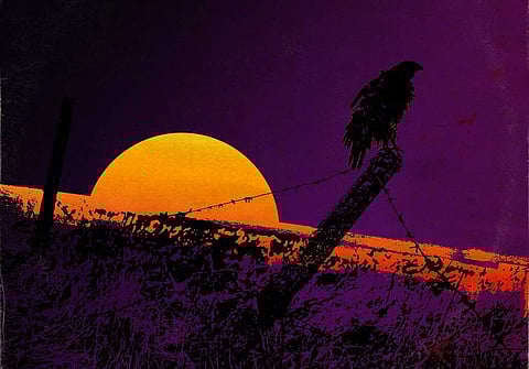 Almost Daylight by Chris Knight (Thirty Tigers via AP)