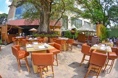 Expect massaman curry, crispy soft shell crab starters and edible gold cocktails at Bo-Tai