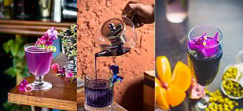 Blue pea tea cocktails