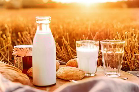 Wellness column: Why are more people lactose intolerant today?