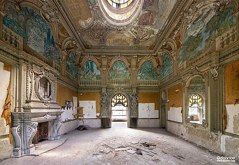 Majestic Forest - Daan Oude Elferink (Netherlands)