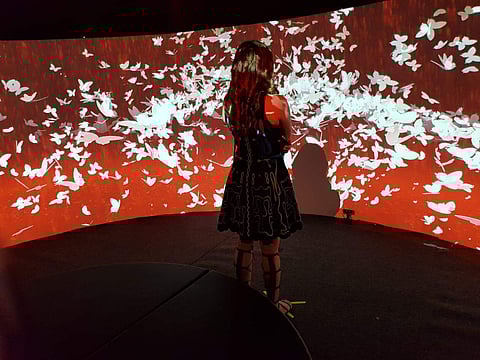 Michelle Y Poonawalla