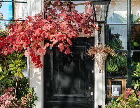 Simple additions like a wind chime or the colour of your door can balance the chi in your environment