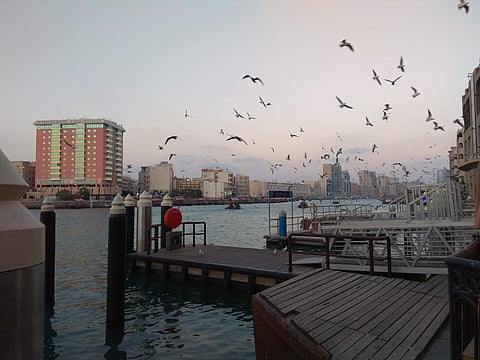 The Dubai Creek. Picture: Ayesha Tabassum