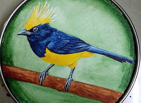 Painted Creatures art exhibition at DakshinaChitra