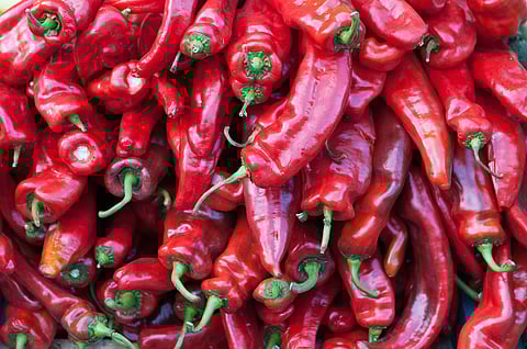 Chilli peppers (Photo: Wikipedia)