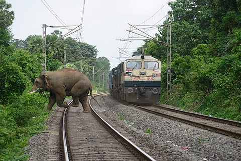 A picture shot by Aneesh Sankarankutty