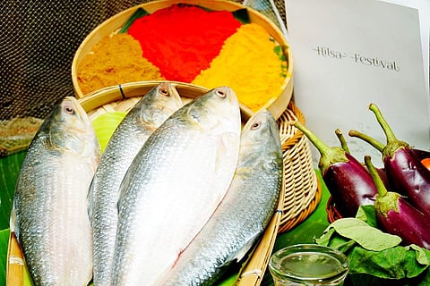 Oh Calcutta Ilish festival