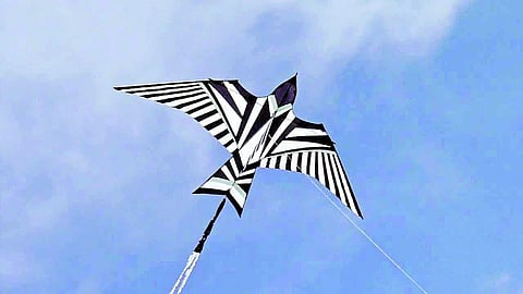 Kites in Hyderabad