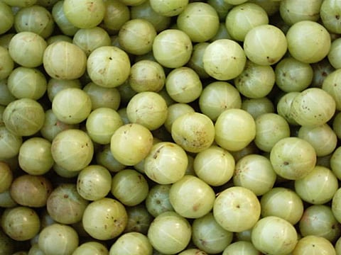 Wellness: The gooseberry is a superfood that helps with everything from bad breath to preventing tumours