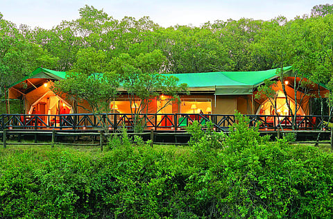 Glamping at Fairmont