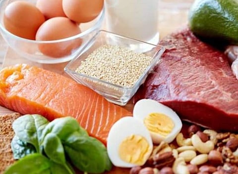 Protein-rich diet