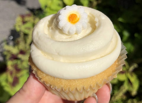 Magnolia Bakery Vanilla Cupcake