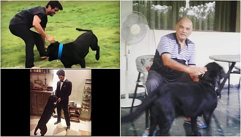 Sushant Singh Rajput's dog Fudge is now living with the late actor's family in Patna
