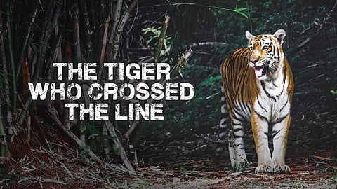 Poster of The Tiger Who Crossed The Line