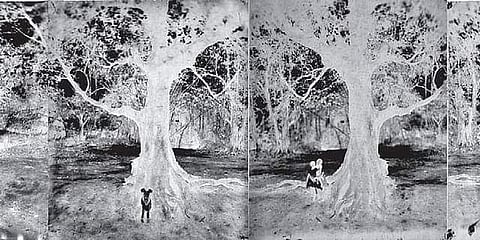 Images from Arpan Mukherjee’s ‘Gola Vora Dhan’ that centre around displacement experienced in Bengal in the 1980s.