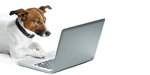 Representational pic of a tech-savvy dog