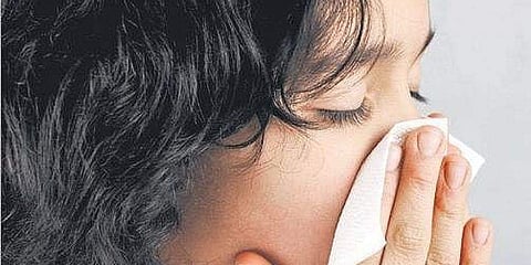 The hygiene hypothesis