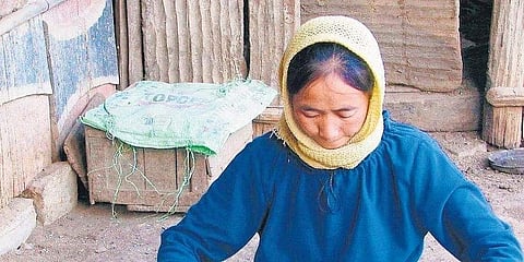 Traveller with a purpose