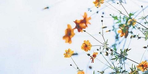 For representational purposes