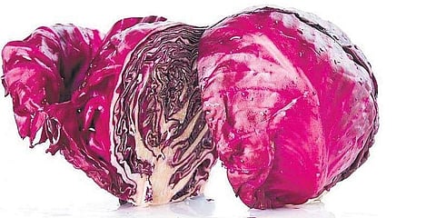 A palette for your palate