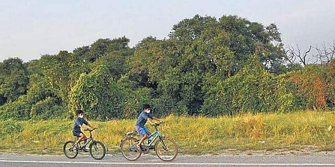 ‘Cycle with Kochi,’ an initiative by Kochi Corporation and Cochin Smart Mission Limited (CSML), will soon give a detailed map of roads suitable for cycles.