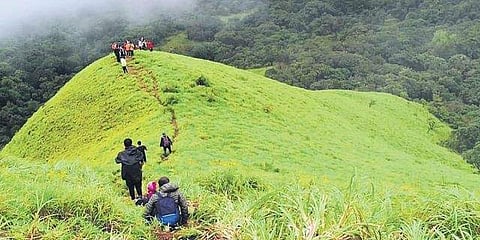 Jenukallu Gudda in Sakleshpur