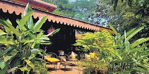 The outdoors at Shalom