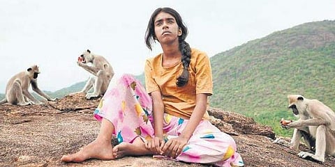 2021 Roundup: The films that deserved more love