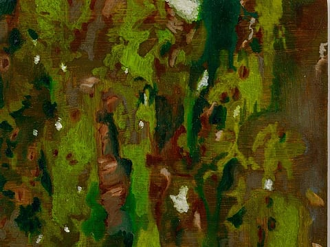 From Ayesha Sultana's Bare Bones series