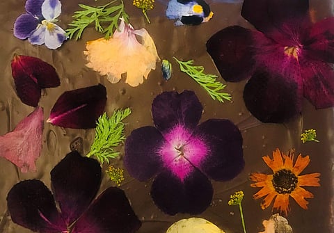 Shef's Floral Brownies