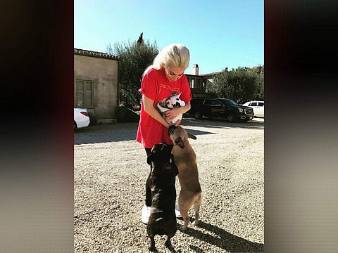 Lady Gaga reunites with her dogs who were missing