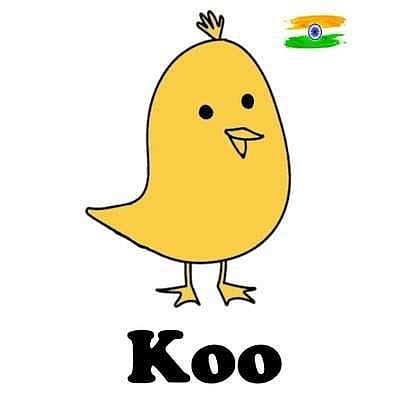 Koo takes action, removes 2,385 accounts in July