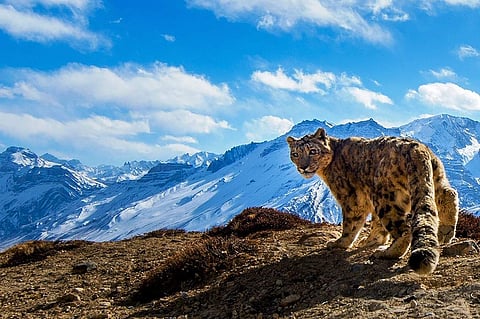 Pic Credit: Prasenjeet Yadav