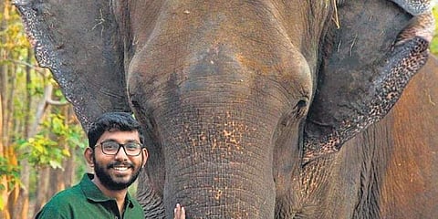 Pining for a peaceful tomorrow for people and pachyderms