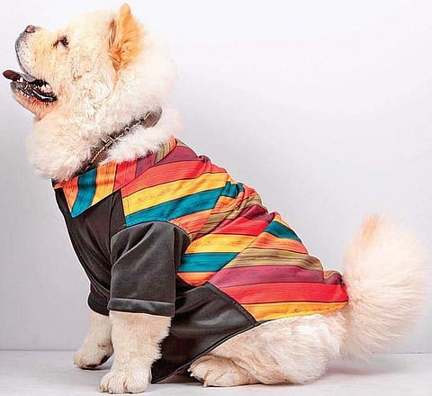 A per decked up in bright clothes