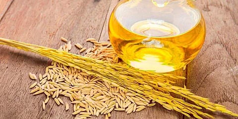 Rice bran oil