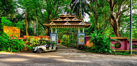 Kairali Ayurvedic Healing Village