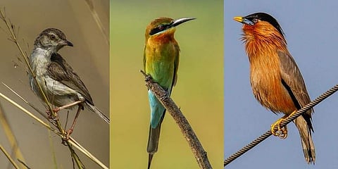 Photo | E Arun Kumar