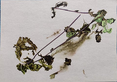 Artwork by artist Prajakta Palav from the festival