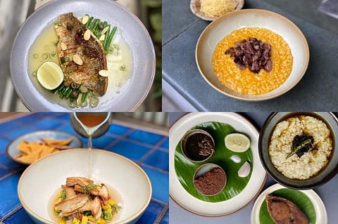 Dishes created by Auroni