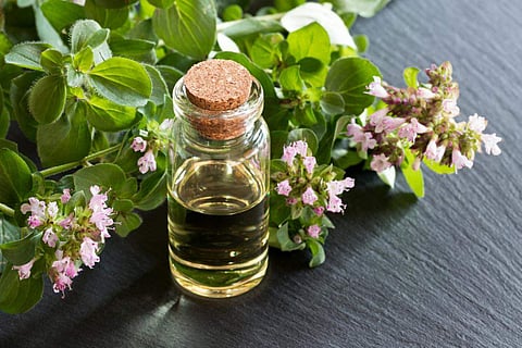 Oregano oil benefits