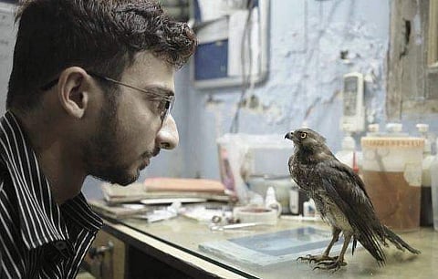 Still from All That Breathes