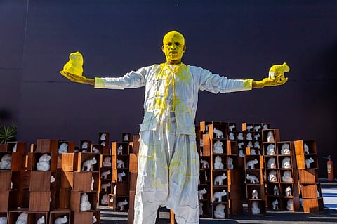 Stills from India Art Fair